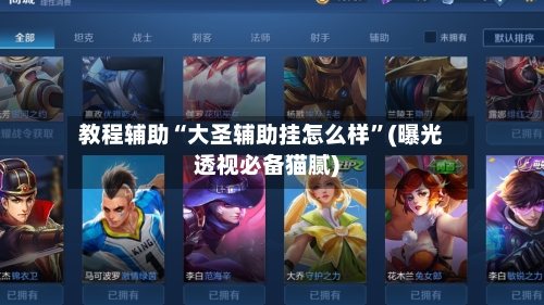 教程辅助“大圣辅助挂怎么样”(曝光透视必备猫腻)-第3张图片