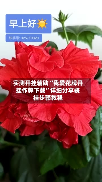 实测开挂辅助“我爱花牌开挂作弊下载”详细分享装挂步骤教程-第2张图片