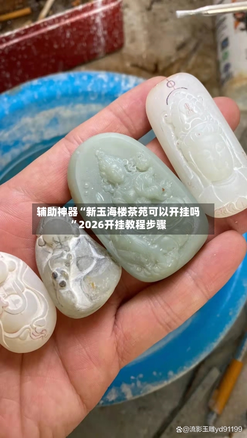 辅助神器“新玉海楼茶苑可以开挂吗”2026开挂教程步骤-第2张图片
