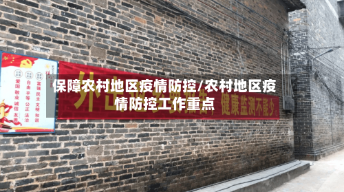 保障农村地区疫情防控/农村地区疫情防控工作重点