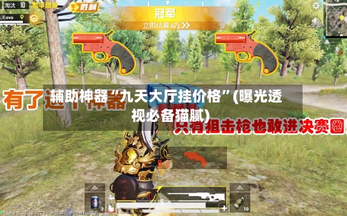 辅助神器“九天大厅挂价格”(曝光透视必备猫腻)-第2张图片