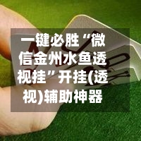 一键必胜“微信金州水鱼透视挂	”开挂(透视)辅助神器-第3张图片