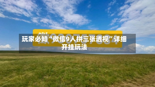 玩家必知“微信9人拼三张透视”详细开挂玩法