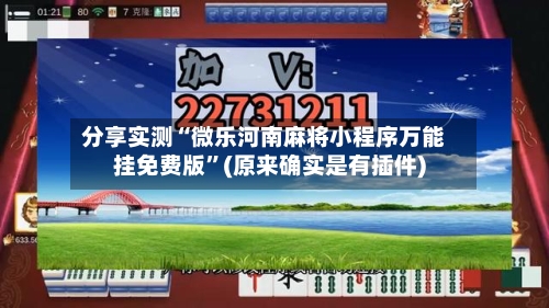 分享实测“微乐河南麻将小程序万能挂免费版”(原来确实是有插件)
