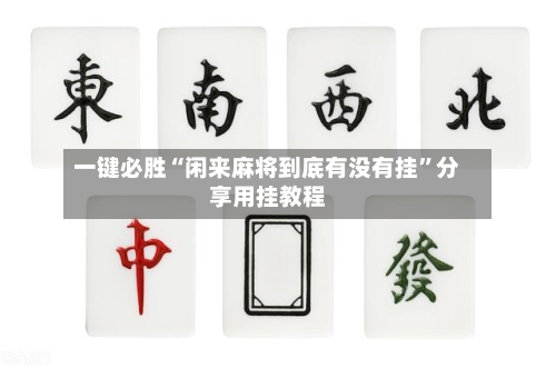 一键必胜“闲来麻将到底有没有挂”分享用挂教程-第2张图片