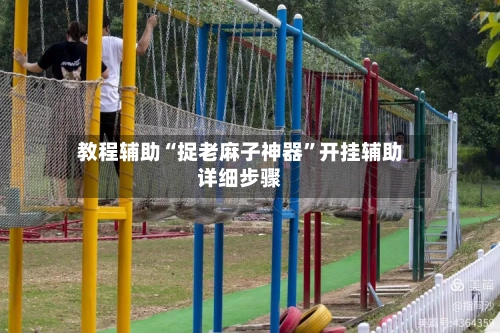 教程辅助“捉老麻子神器”开挂辅助详细步骤-第2张图片