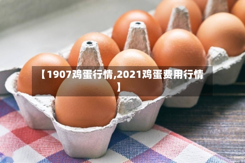 【1907鸡蛋行情,2021鸡蛋费用行情】