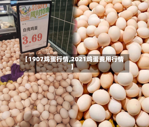 【1907鸡蛋行情,2021鸡蛋费用行情】-第2张图片
