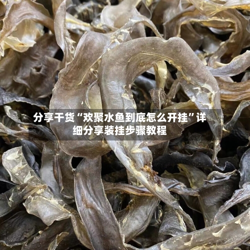 分享干货“欢聚水鱼到底怎么开挂”详细分享装挂步骤教程-第2张图片