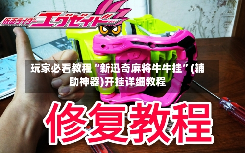 玩家必看教程“新迅奇麻将牛牛挂	”(辅助神器)开挂详细教程-第3张图片