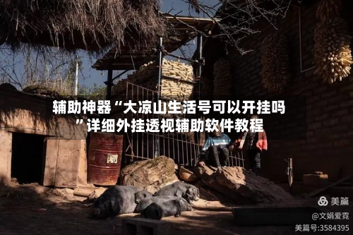 辅助神器“大凉山生活号可以开挂吗”详细外挂透视辅助软件教程-第2张图片