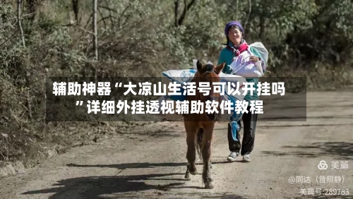 辅助神器“大凉山生活号可以开挂吗”详细外挂透视辅助软件教程-第3张图片