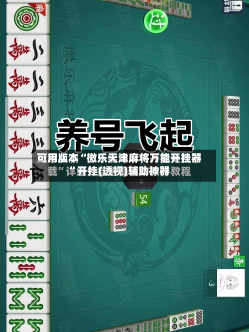 可用版本“微乐天津麻将万能开挂器”开挂(透视)辅助神器-第3张图片
