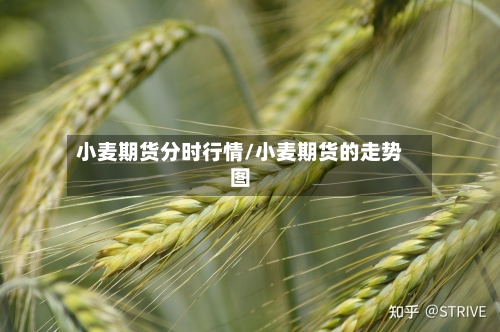 小麦期货分时行情/小麦期货的走势图