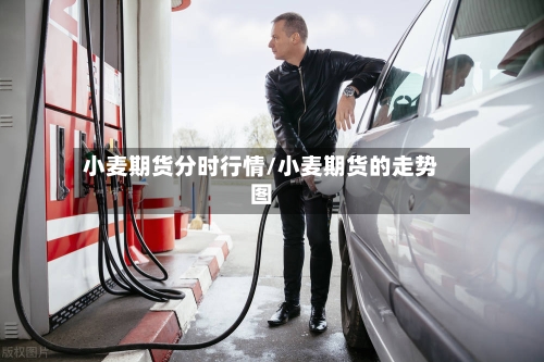 小麦期货分时行情/小麦期货的走势图-第2张图片