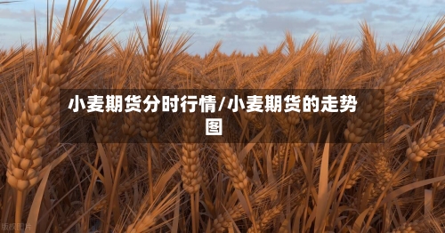小麦期货分时行情/小麦期货的走势图-第3张图片