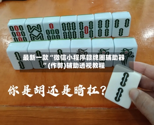 最新一款“微信小程序赣牌圈辅助器”(作弊)辅助透视教程-第2张图片