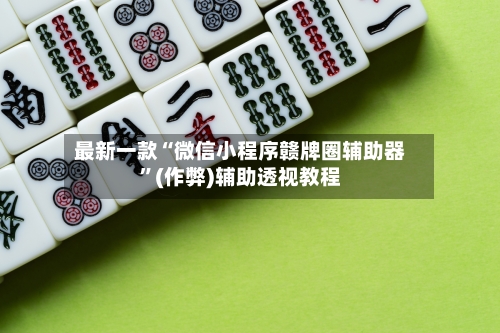 最新一款“微信小程序赣牌圈辅助器	”(作弊)辅助透视教程-第3张图片