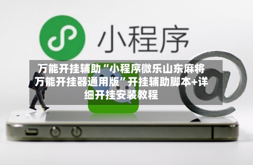 万能开挂辅助“小程序微乐山东麻将万能开挂器通用版”开挂辅助脚本+详细开挂安装教程-第3张图片