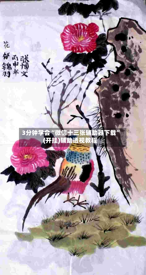 3分钟学会“微信十三张辅助器下载”(开挂)辅助透视教程-第2张图片
