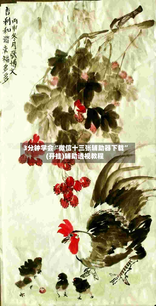 3分钟学会“微信十三张辅助器下载”(开挂)辅助透视教程-第3张图片