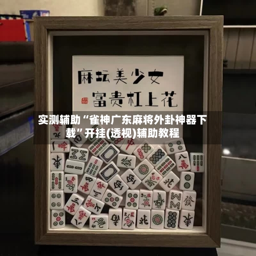 实测辅助“雀神广东麻将外卦神器下载”开挂(透视)辅助教程-第3张图片