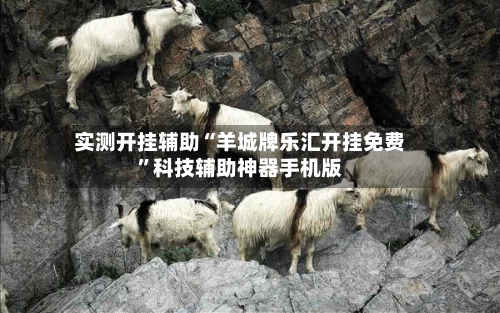 实测开挂辅助“羊城牌乐汇开挂免费”科技辅助神器手机版