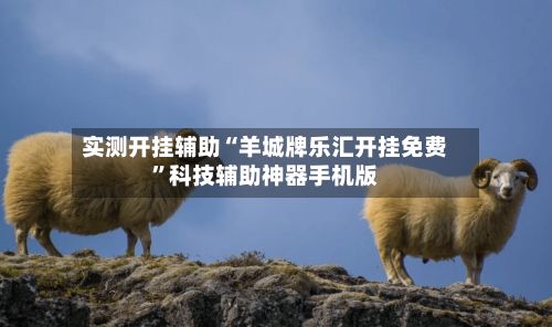 实测开挂辅助“羊城牌乐汇开挂免费”科技辅助神器手机版-第3张图片