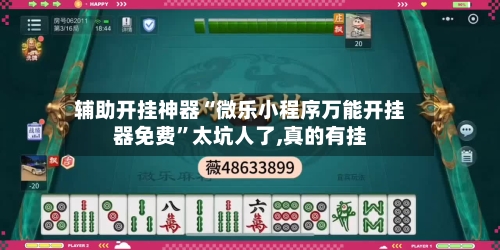 辅助开挂神器“微乐小程序万能开挂器免费”太坑人了,真的有挂-第2张图片