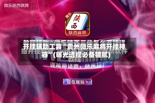 开挂辅助工具“贵州微乐麻将开挂神器”(曝光透视必备猫腻)-第2张图片