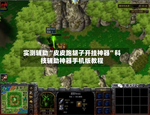 实测辅助“皮皮跑胡子开挂神器”科技辅助神器手机版教程-第2张图片