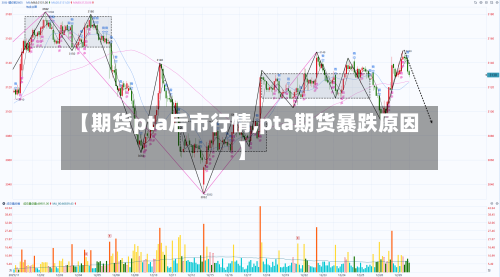 【期货pta后市行情,pta期货暴跌原因】-第2张图片