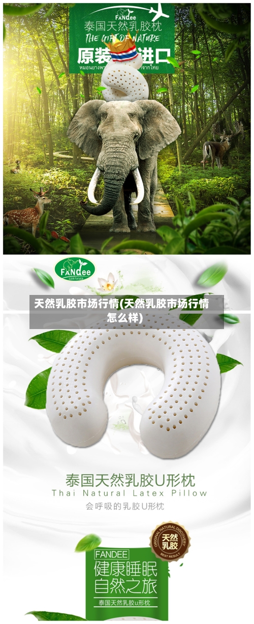天然乳胶市场行情(天然乳胶市场行情怎么样)-第3张图片
