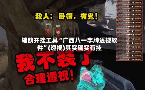 辅助开挂工具“广西八一字牌透视软件”(透视)其实确实有挂
