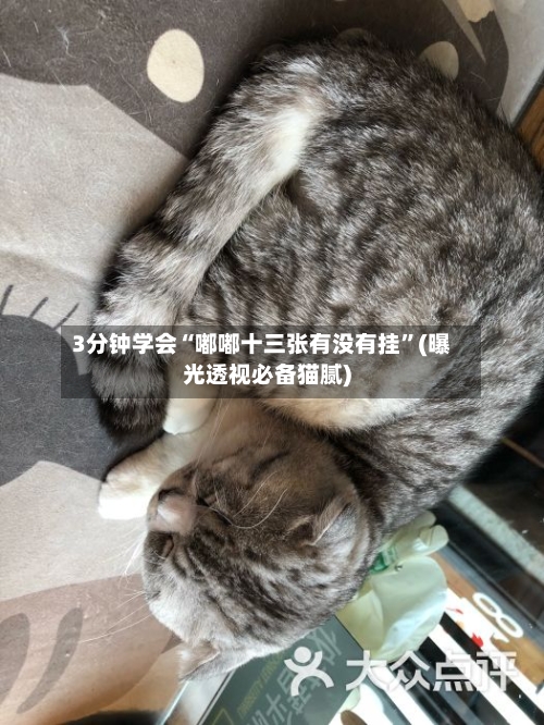 3分钟学会“嘟嘟十三张有没有挂	”(曝光透视必备猫腻)-第2张图片