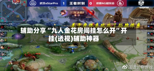 辅助分享“九人金花房间挂怎么开”开挂(透视)辅助神器
