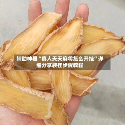 辅助神器“真人天天麻将怎么开挂”详细分享装挂步骤教程