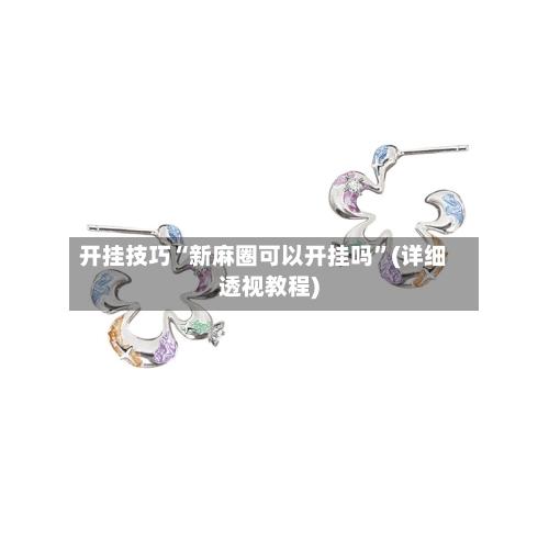 开挂技巧“新麻圈可以开挂吗”(详细透视教程)-第2张图片