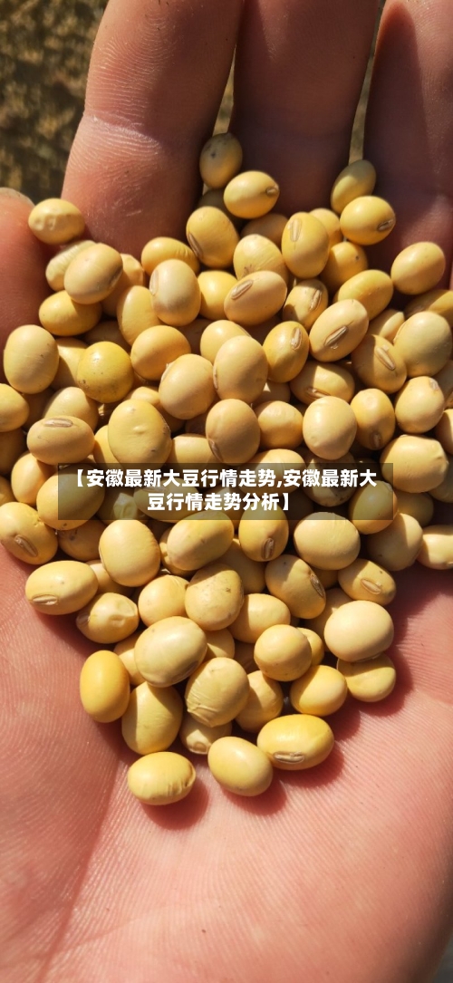 【安徽最新大豆行情走势,安徽最新大豆行情走势分析】-第2张图片