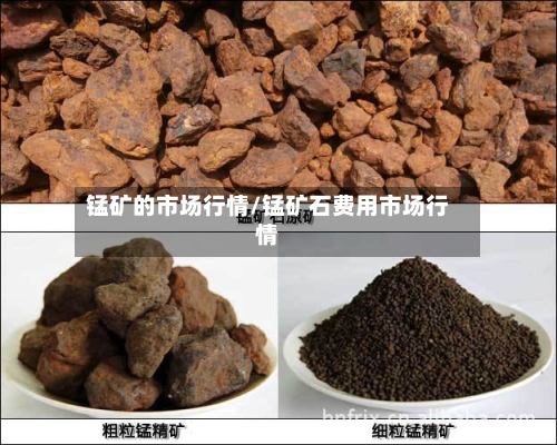 锰矿的市场行情/锰矿石费用市场行情-第3张图片