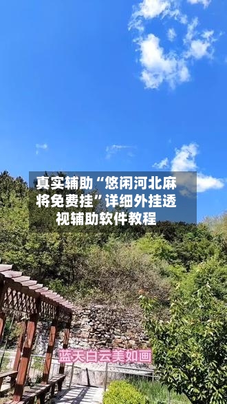 真实辅助“悠闲河北麻将免费挂”详细外挂透视辅助软件教程