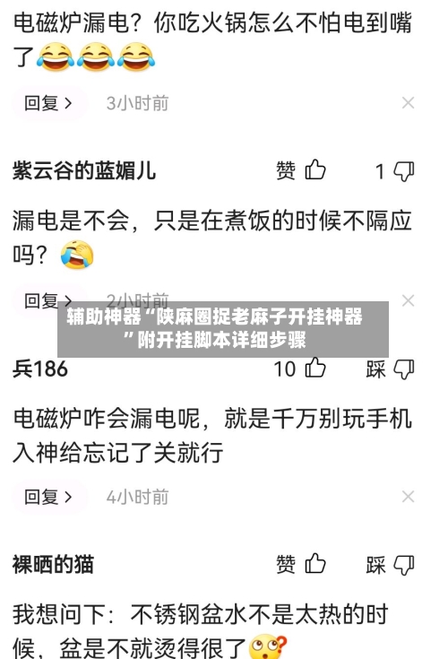 辅助神器“陕麻圈捉老麻子开挂神器	”附开挂脚本详细步骤-第2张图片