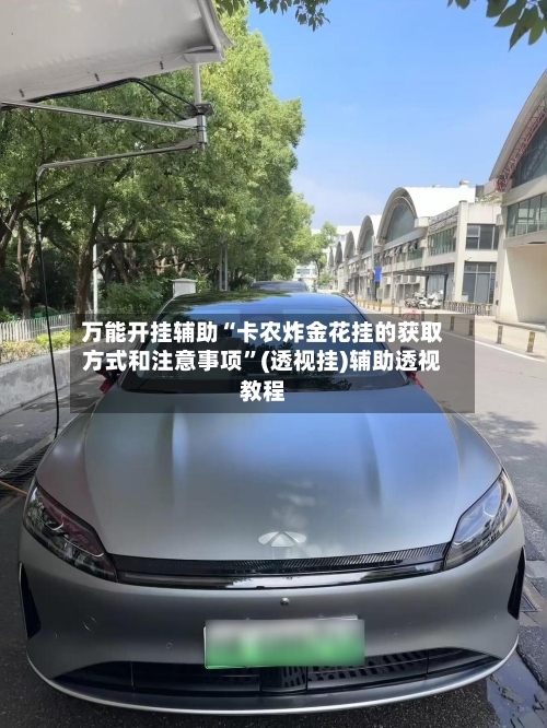 万能开挂辅助“卡农炸金花挂的获取方式和注意事项”(透视挂)辅助透视教程-第3张图片