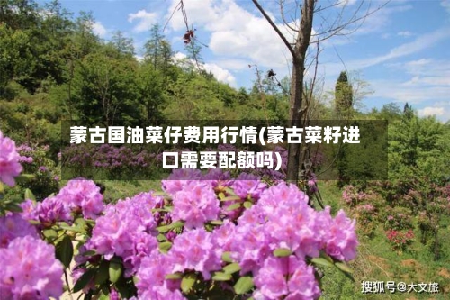 蒙古国油菜仔费用行情(蒙古菜籽进口需要配额吗)-第3张图片