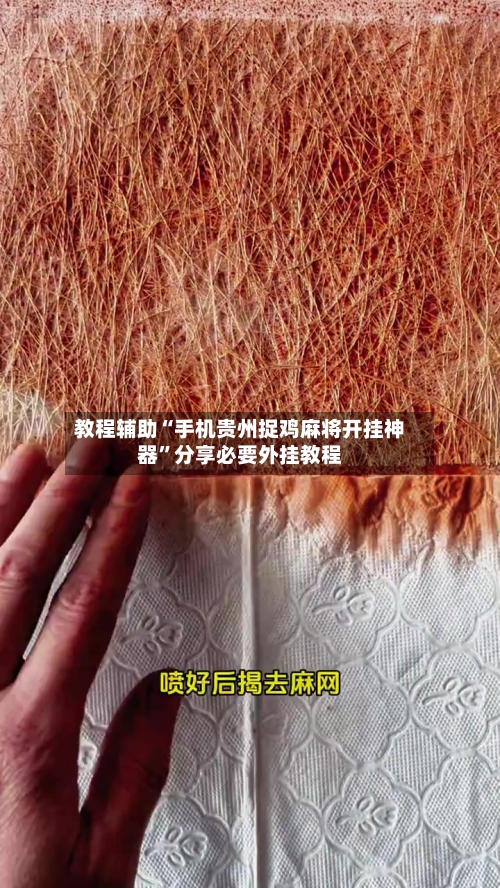 教程辅助“手机贵州捉鸡麻将开挂神器	”分享必要外挂教程-第2张图片