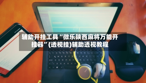 辅助开挂工具“微乐陕西麻将万能开挂器”(透视挂)辅助透视教程-第2张图片