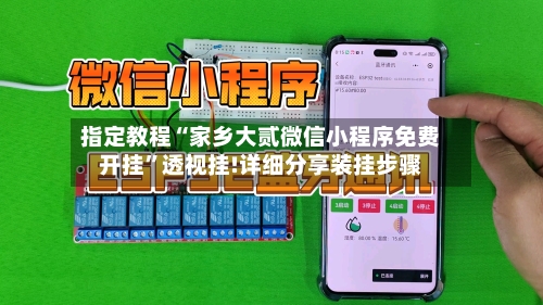 指定教程“家乡大贰微信小程序免费开挂”透视挂!详细分享装挂步骤-第3张图片