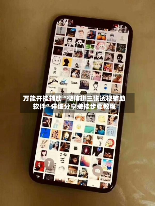 万能开挂辅助“微信拼三张透视辅助软件”详细分享装挂步骤教程-第2张图片