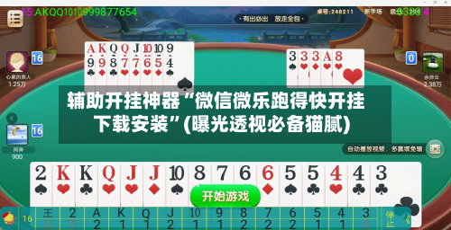 辅助开挂神器“微信微乐跑得快开挂下载安装”(曝光透视必备猫腻)-第3张图片