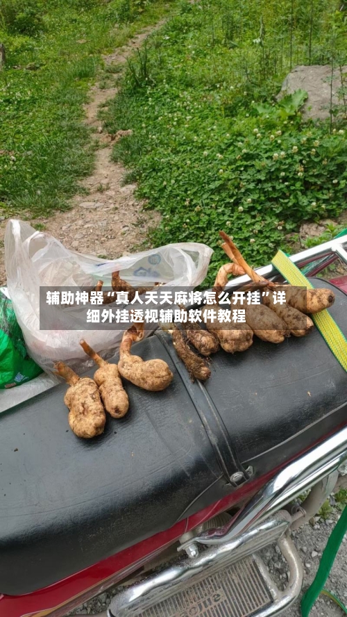 辅助神器“真人天天麻将怎么开挂	”详细外挂透视辅助软件教程-第3张图片
